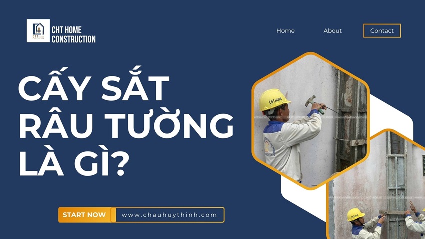 Cay sat rau tuong la gi? Nen cay sat rau truoc hay sau khi do be tong tru?