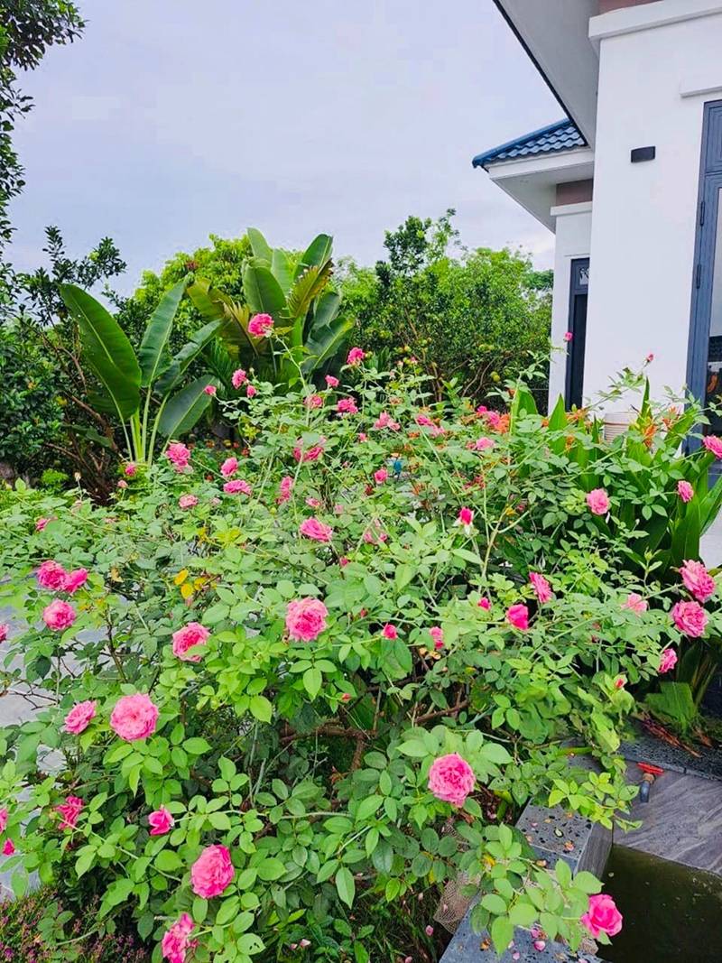 Kien truc nha vuon A Dong sang trong
