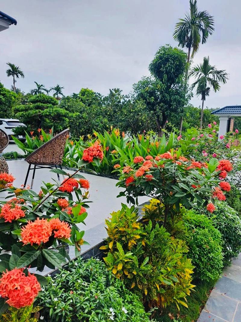 kien truc nha vuon a dong sang trong8